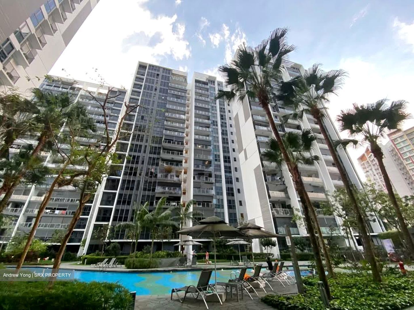 Bartley Ridge (D13), Condominium #563674891